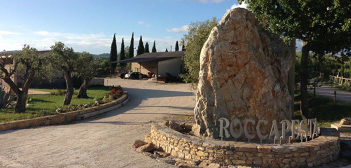 Cantina Roccapesta - Visita & Degustazione privata Toscana Cantina Roccapesta
