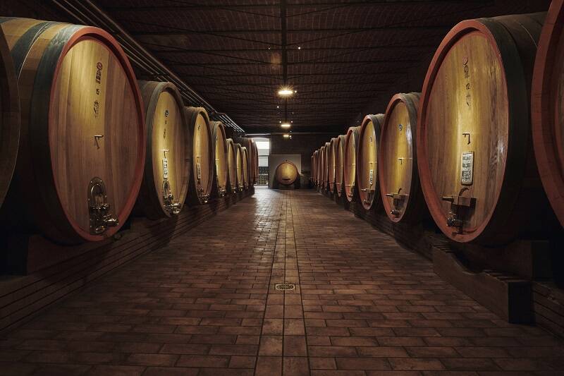 Scarpa - Il Monferrato e la Langa di Scarpa Piemonte Scarpa