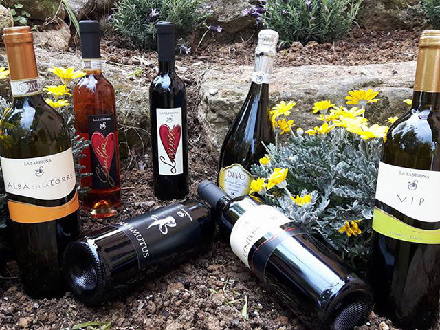 La Sabbiona - Soggiorno & Degustazione Emilia Romagna La Sabbiona