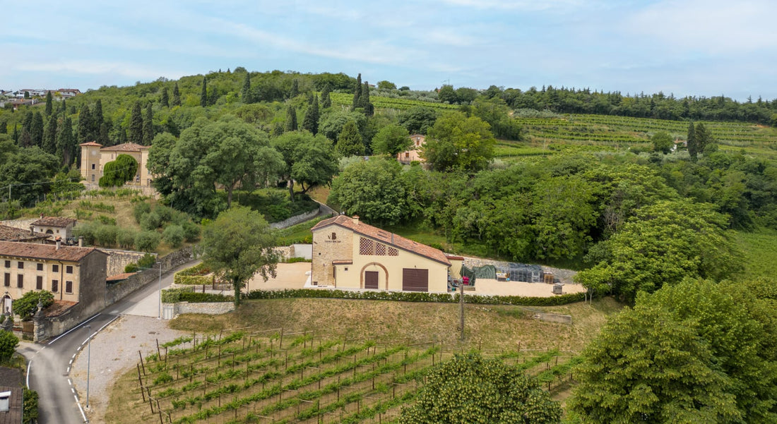 Veronese Beatrice - Degustazione Premium Veneto Veronese Beatrice