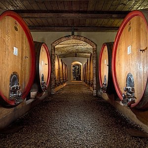 La Briacca - Degustazione 4 vini "Max" Piemonte La Briacca