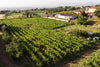 Casale Mattia - Tasting with light lunch