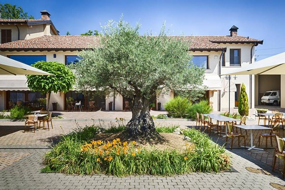 Bersano - Tasting 5 wines "Our History"