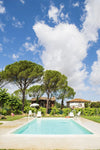 Saragano Estate - Wine Tasting