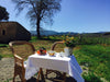 Tenuta Pacelli - Lunch in the vineyard & Tasting