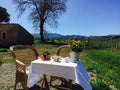 Tenuta Pacelli - Lunch in the vineyard & Tasting