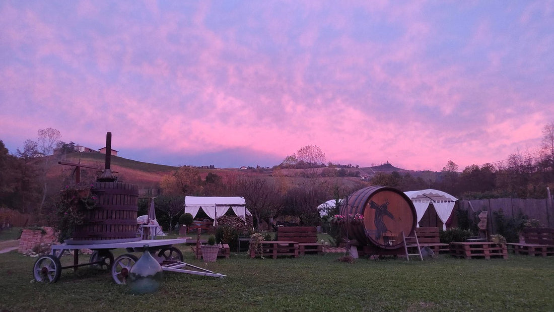 La Briacca - Degustazione 4 vini "Max" Piemonte La Briacca