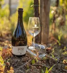 Arrigoni 1913 - Lunch + 3 vini Toscana Arrigoni 1913