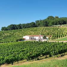 La Veneranda - Degustazione San Francesco Umbria Cantina La Veneranda