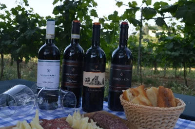 Casale Mattia - Pic nic nel vigneto Lazio Casale Mattia