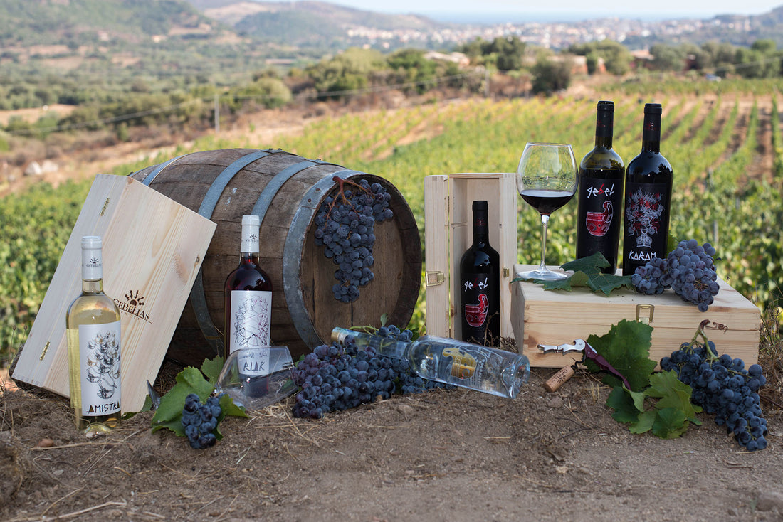Tenute Gebelias - Degustazione e Visita Sardegna Tenute Gebelias