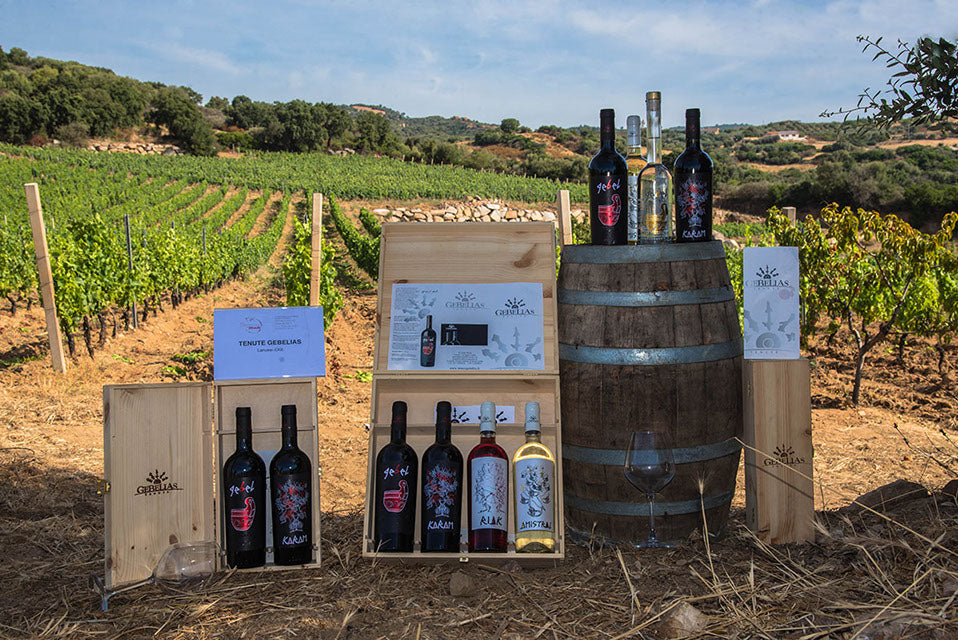 Tenute Gebelias - Degustazione e Visita Sardegna Tenute Gebelias