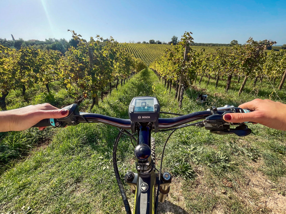 Marco carpineti - PicNic Lazio Marco Carpineti