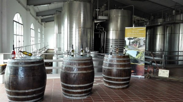 Tenuta di Pietra Porzia - Soggiorno, Degustazione e Massaggio Lazio Tenuta di Pietra Porzia