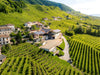 Tonnino - Selected in the vineyard