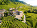 Tonnino - Selected in the vineyard