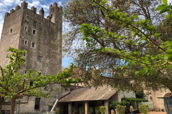 Castello di Torre in Pietra - Degustazione e Tagliere Lazio Castello di Torre in Pietra