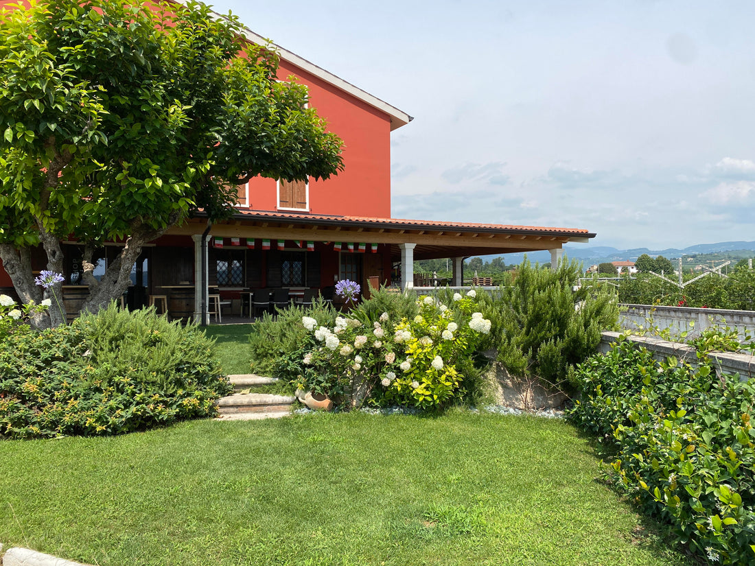 Cantina Mizzon - Territory Experience Veneto Az.Agr.Mizzon