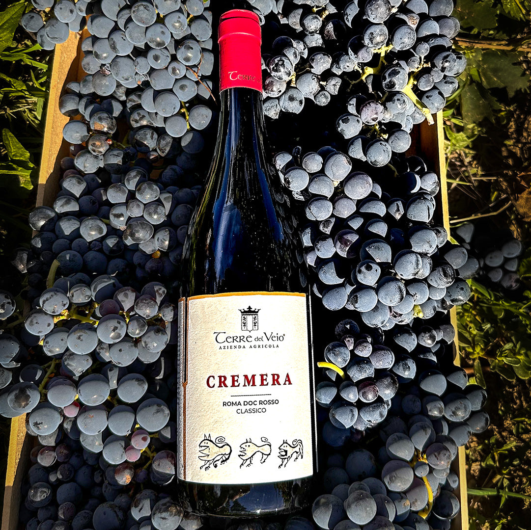 Terre del Veio - Degustazione 3 calici Lazio Terre del Veio