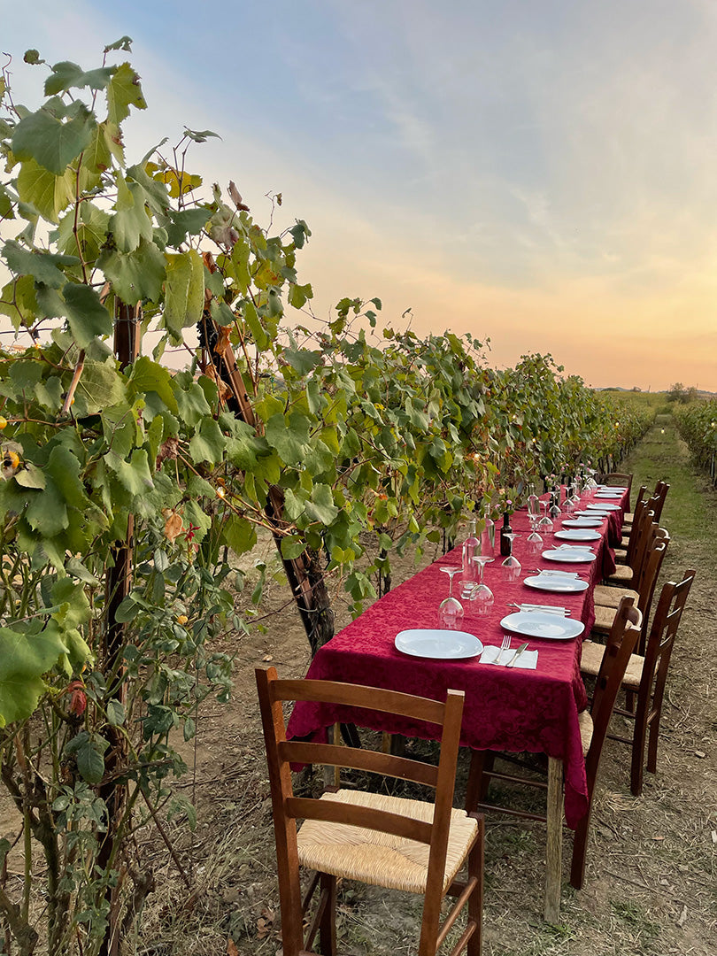 Terre del Veio - Degustazione 3 calici Lazio Terre del Veio