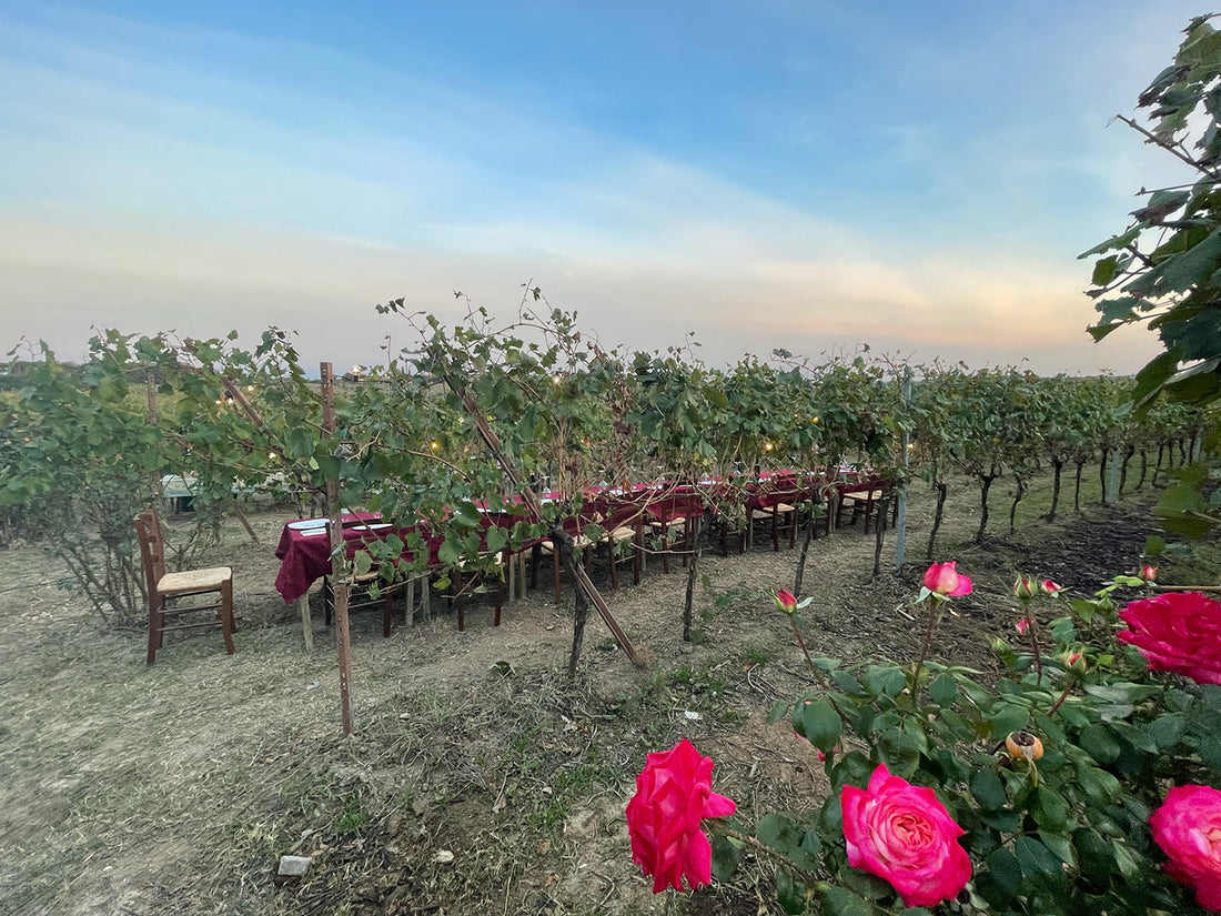 Terre del Veio - Degustazione 3 calici Lazio Terre del Veio