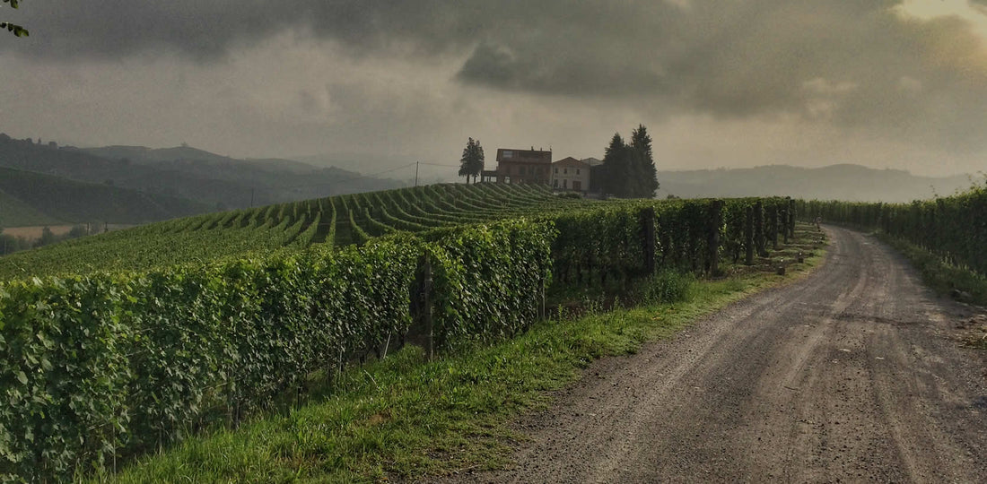 Fratelli Borgogno - Viaggio nelle Denominazioni Piemonte Fratelli Borgogno