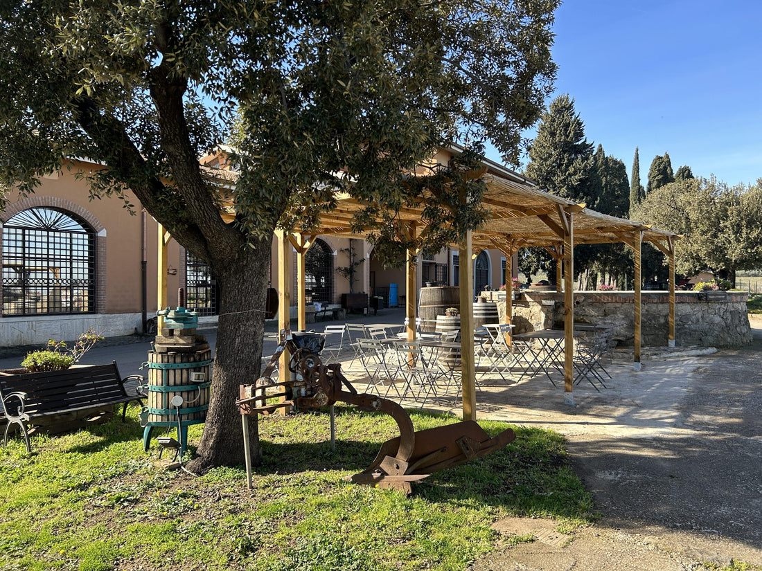 Tenuta di Pietra Porzia - Soggiorno, Degustazione e Massaggio Lazio Tenuta di Pietra Porzia