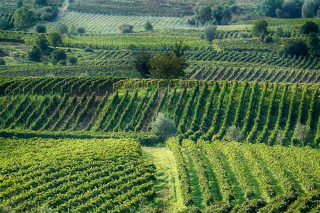 Az. Agricola Manuelina - Degustazione premium Lombardia Az.Agricola Manuelina