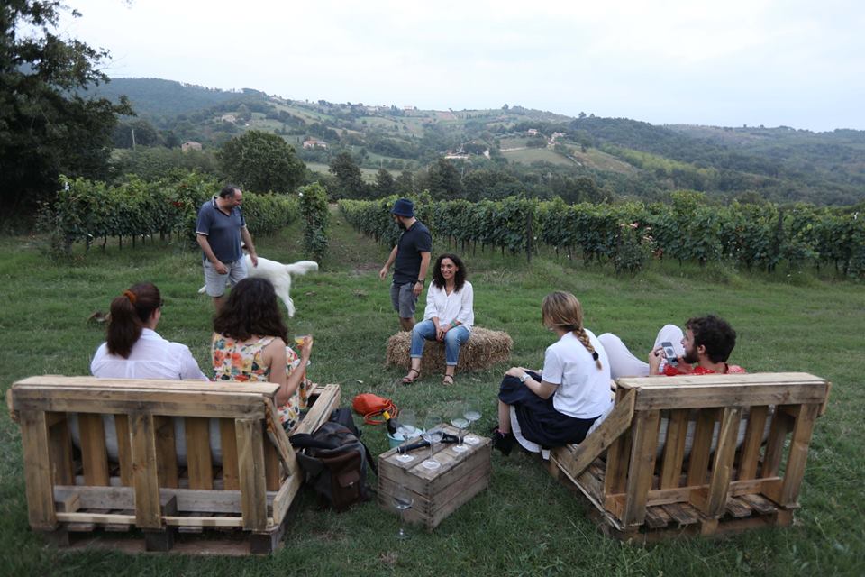 AlePa - Degustazione in Campagna Campania AlePa