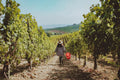 Oddone Prati - Classic tasting