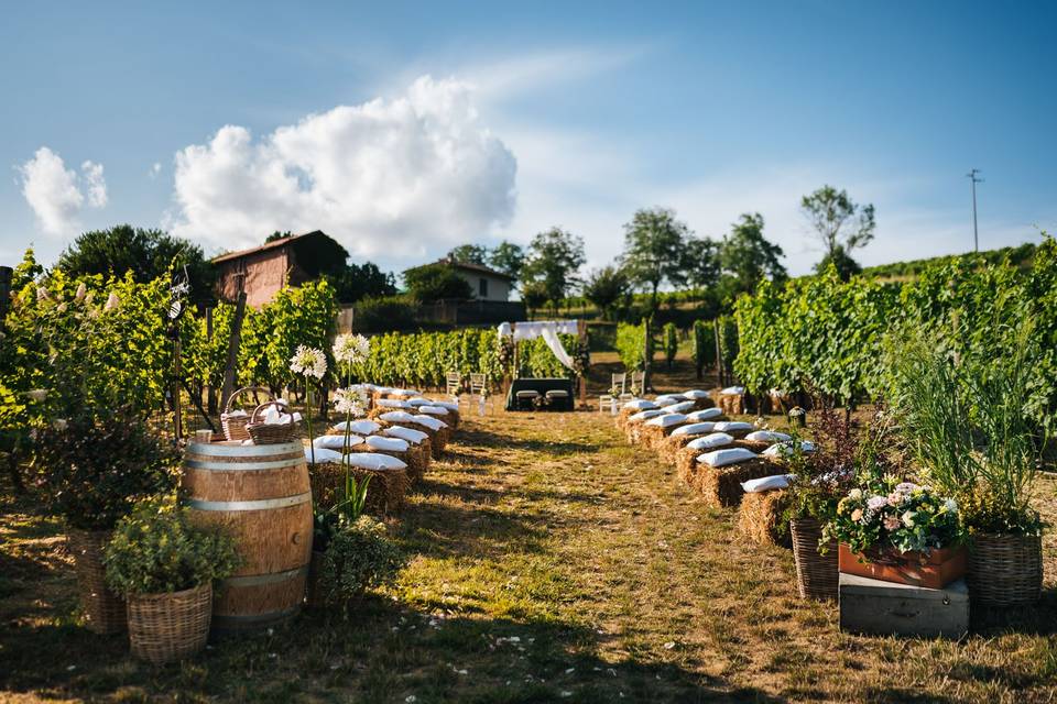 Cascina Binè - Soggiorno & Pranzo in Cantina Piemonte Cascina Binè