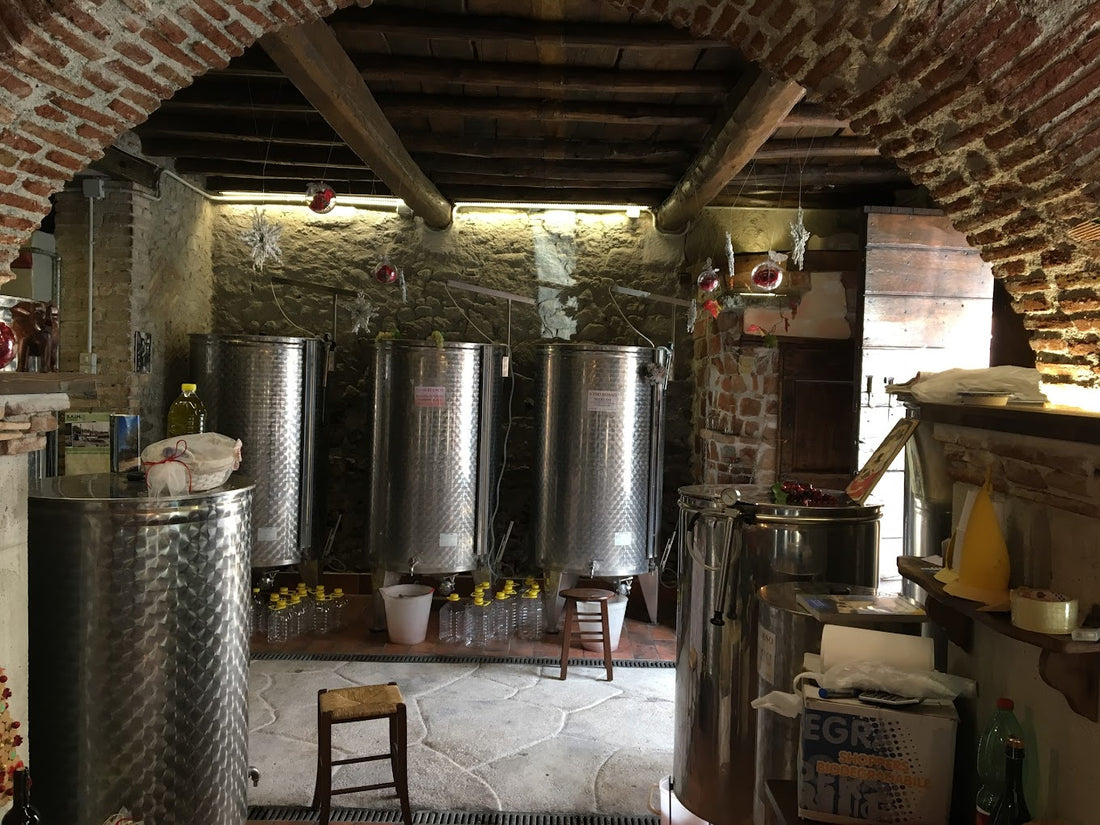 Cantina Costantini - Exclusive tasting Lazio Cantina Costantini