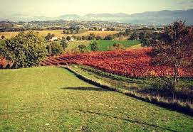 Moretti Omero - Pic Nic Umbria Moretti Omero