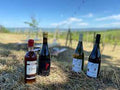 Cantina del Colonna - Tasting of 4 wines