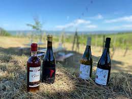 Cantina del Colonna - Degustazione 4 Vini Umbria Cantina del Colonna