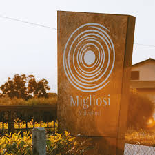 Migliosi viticoltori - Pic Nic Umbria Migliosi viticoltori