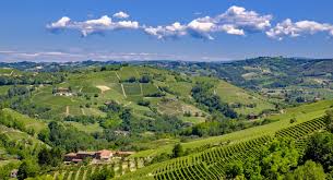 Azienda Agricola AleMat - 4 Vini + Tagliere Piemonte Azienda Agricola AleMat