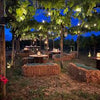 Cantina Costantini - Exclusive tasting