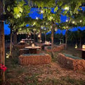 Cantina Costantini - Exclusive tasting