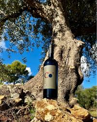 De Quarto - Tipica Puglia De Quarto