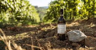 Arrigoni 1913 - Lunch + 3 vini Toscana Arrigoni 1913