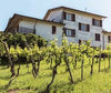 La Piotta - Cata de 4 vinos