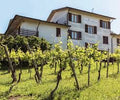 La Piotta - Cata de 4 vinos