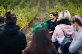 Travignoli - Chianti Rufina Experience Toscana Travignoli