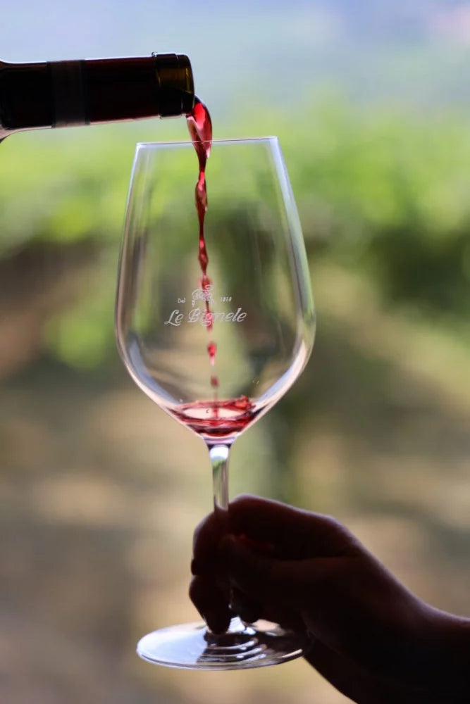 Le Bignele - Relax in Valpolicella Veneto Le Bignele