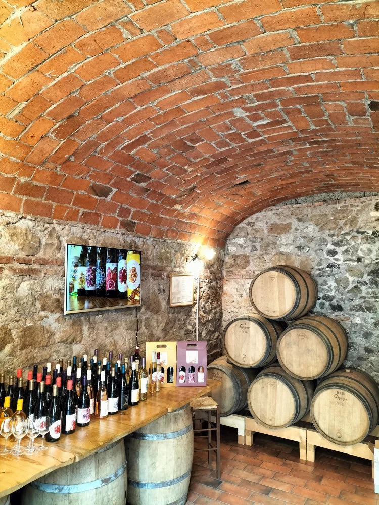 Cantina Costantini - Exclusive tasting Lazio Cantina Costantini