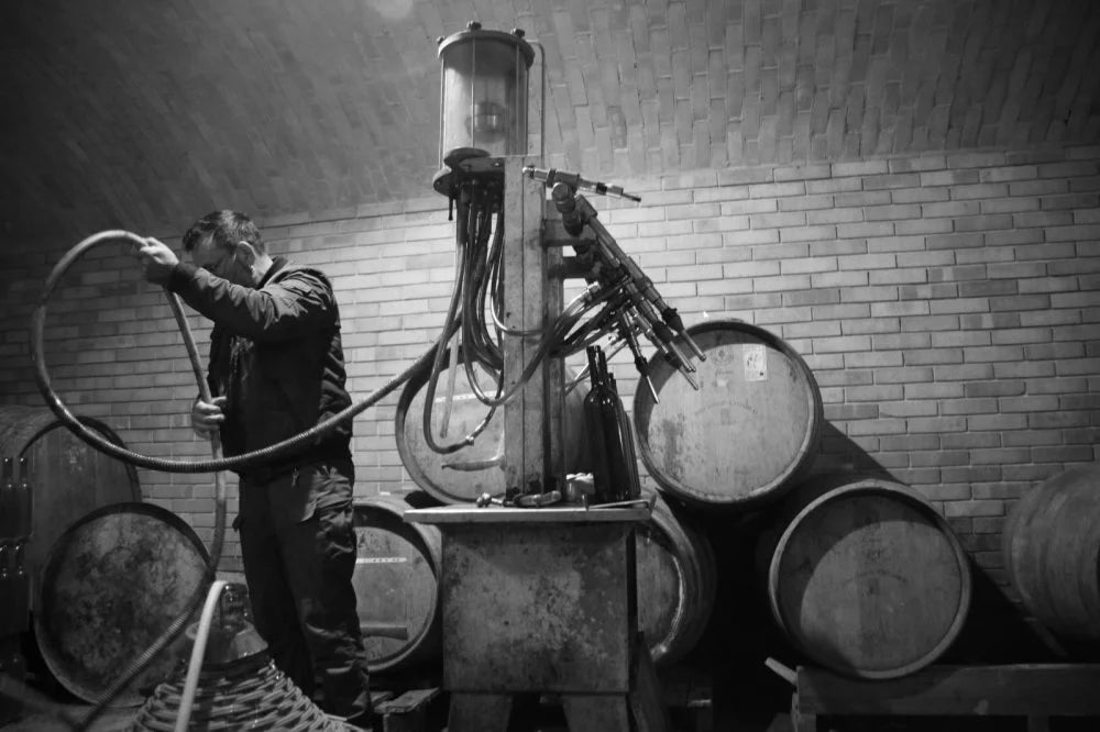 Il Vino e Le Rose - Degustazione classica Piemonte Il Vino e Le Rose