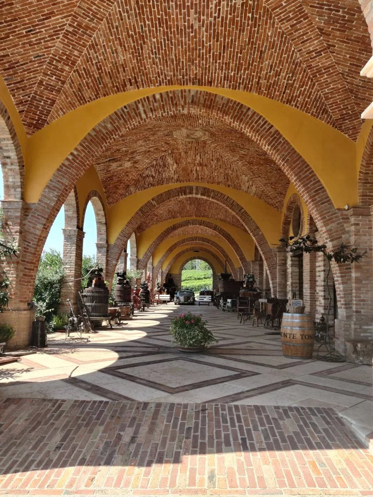 Az.Agr. Montetondo - Soggiorno & Degustazione Veneto Az.Agr. Montetondo