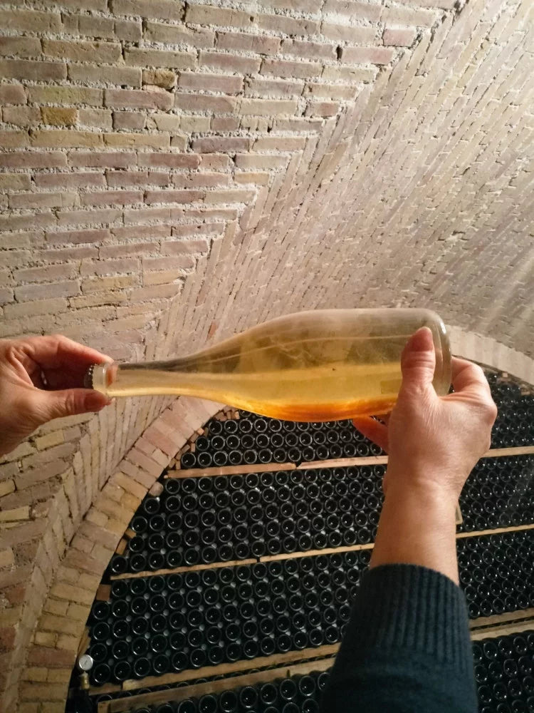 Re Dauno - Classic Experience Puglia Re Dauno