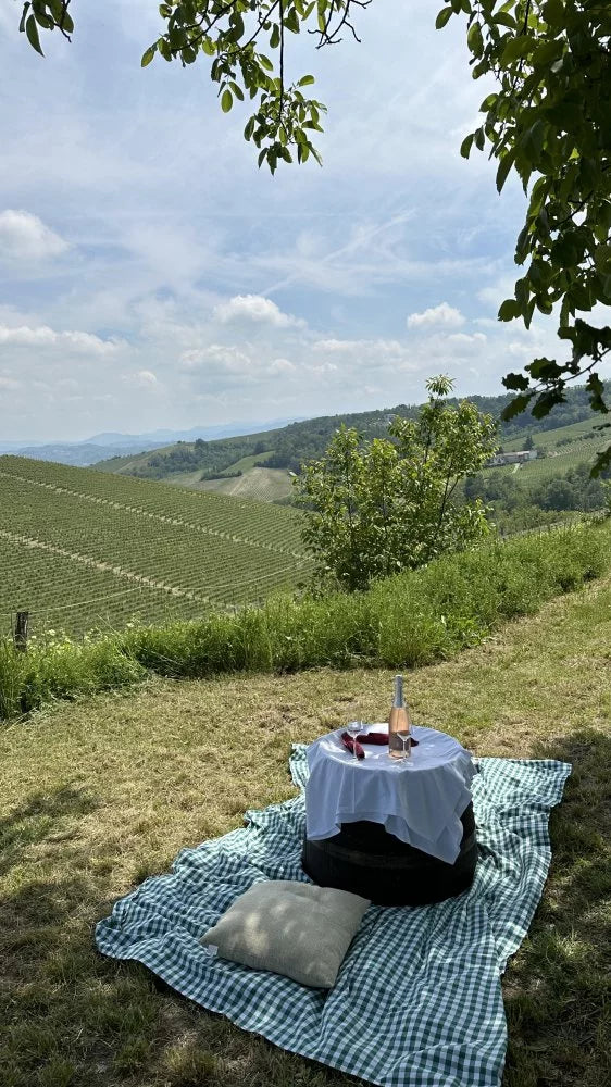 Oddone Prati - Pic Nic nel vigneto Piemonte Oddone Prati